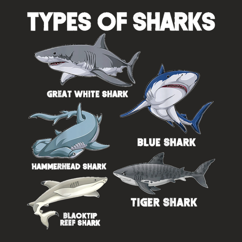 Types Of Sharks Ladies Fitted T-Shirt by cm-arts | Artistshot