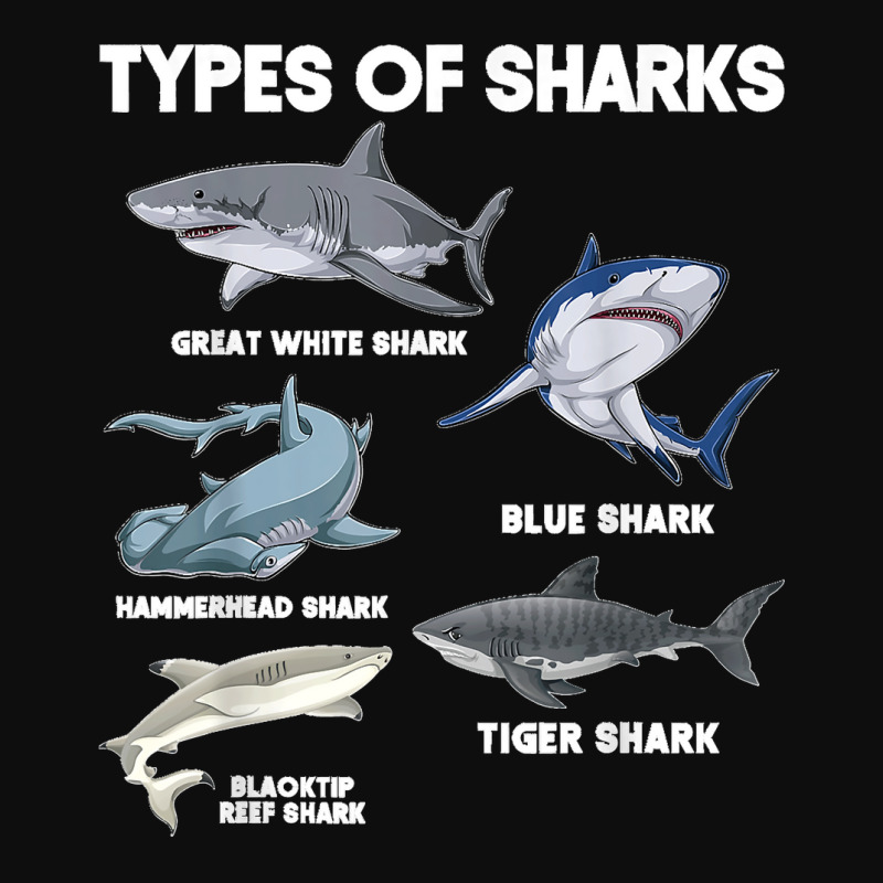 Types Of Sharks Crop Top by cm-arts | Artistshot