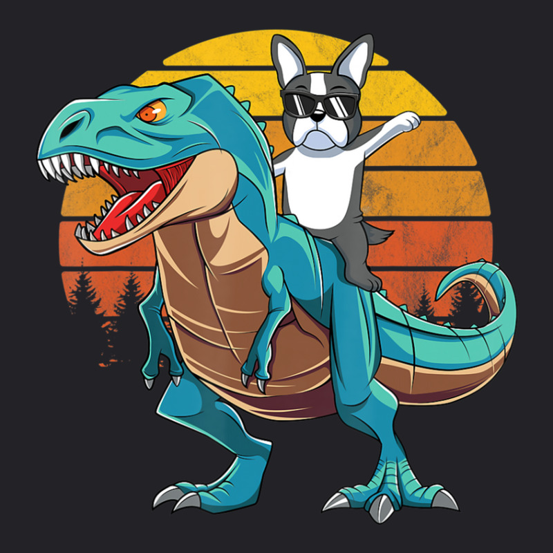 Boson Errier Dog Riding Dinosaur Rex Boys Youth Tee by Konlasa6638 | Artistshot