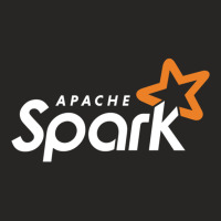 Dark Apache Spark Machine Learning Ladies Fitted T-shirt | Artistshot