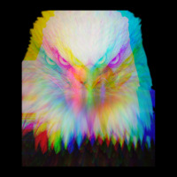 Hypnotic Eagle Portrait Wild Cropped Hoodie | Artistshot