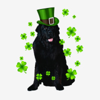 Dog Newfoundland St Patricks Day Puppy Animal 15 Oz Coffee Mug | Artistshot