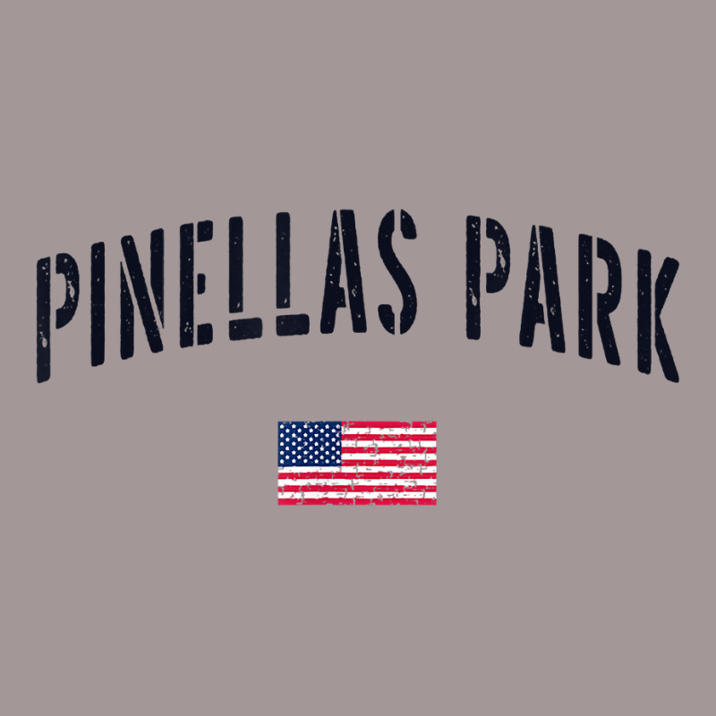 Patriotic Usa Flag Stencil Pinellas Park Fl T Shirt Vintage Short | Artistshot