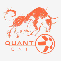 Quant Crypto Hodl Rich Millionaire Bullrun Qnt Defi Token V2 Premium T Adjustable Cap | Artistshot