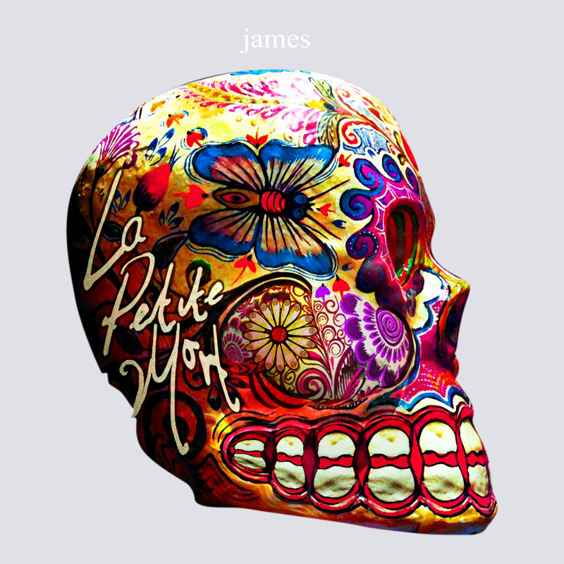 James La Petite Mort Rock Music Band Bucket Hat | Artistshot