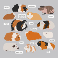 Guinea Pig Breeds   Costume Clothing Accessories Baby Bodysuit | Artistshot