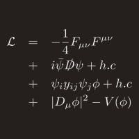 Standard Model Lagrangian Of Particle Physics Higgs Boson T Shirt Tank Top | Artistshot