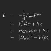 Standard Model Lagrangian Of Particle Physics Higgs Boson T Shirt Ladies Fitted T-shirt | Artistshot