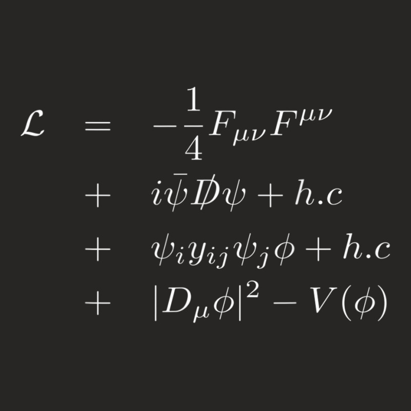 Standard Model Lagrangian Of Particle Physics Higgs Boson T Shirt Ladies Fitted T-Shirt by cm-arts | Artistshot