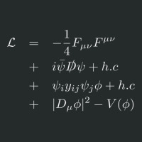 Standard Model Lagrangian Of Particle Physics Higgs Boson T Shirt Women's Triblend Scoop T-shirt | Artistshot