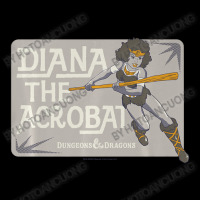 Dungeons & Dragons Diana The Acrobat Panel Cropped Sweater | Artistshot