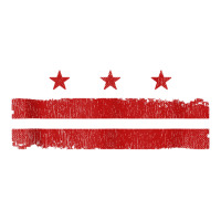 Distressed Washington Dc Flag District Of Columbia Flag Tank Top Youth Zipper Hoodie | Artistshot