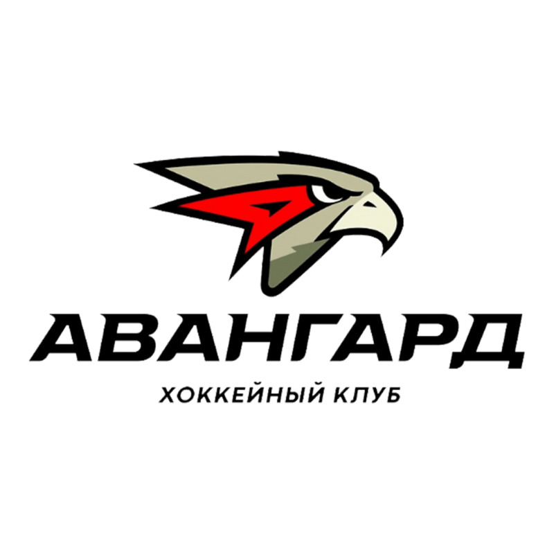 Avangard Omsk Hockey Essential Youth Sweatshirt by cm-arts | Artistshot