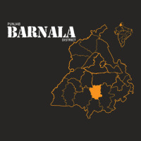 Punjab Barnala District Ladies Fitted T-shirt | Artistshot