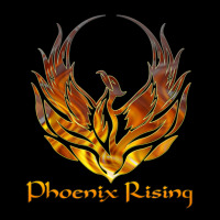 Phoenix Rising Tees Adjustable Cap | Artistshot