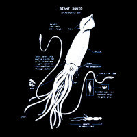 Giant Squid Anatomy, Giant, Squid, Anatomy, Giant Squid Anatomy Vintag Adjustable Cap | Artistshot