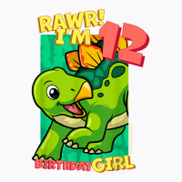 Rawr! I'm 12 Birthday Girls 12th Birthday Dino Stegosaurus T Shirt T-shirt | Artistshot