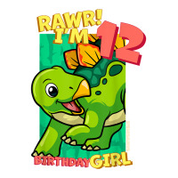 Rawr! I'm 12 Birthday Girls 12th Birthday Dino Stegosaurus T Shirt V-neck Tee | Artistshot