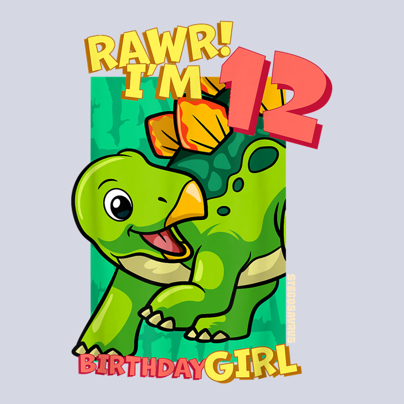 Rawr! I'm 12 Birthday Girls 12th Birthday Dino Stegosaurus T Shirt Fleece Short | Artistshot