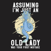 Assuming I'm Just An Old Lady Was Your First Mistake Dragons T Shirt T-shirt | Artistshot