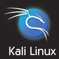 Kali Linux Vintage Cap | Artistshot