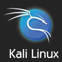 Kali Linux 3/4 Sleeve Shirt | Artistshot