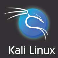 Kali Linux Vintage Hoodie | Artistshot