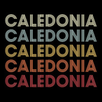 Caledonia Michigan Caledonia Mi Retro Vintage Text T Shirt Lightweight Hoodie | Artistshot