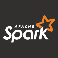 Dark Apache Spark Machine Learning Tshirt Champion Hoodie | Artistshot