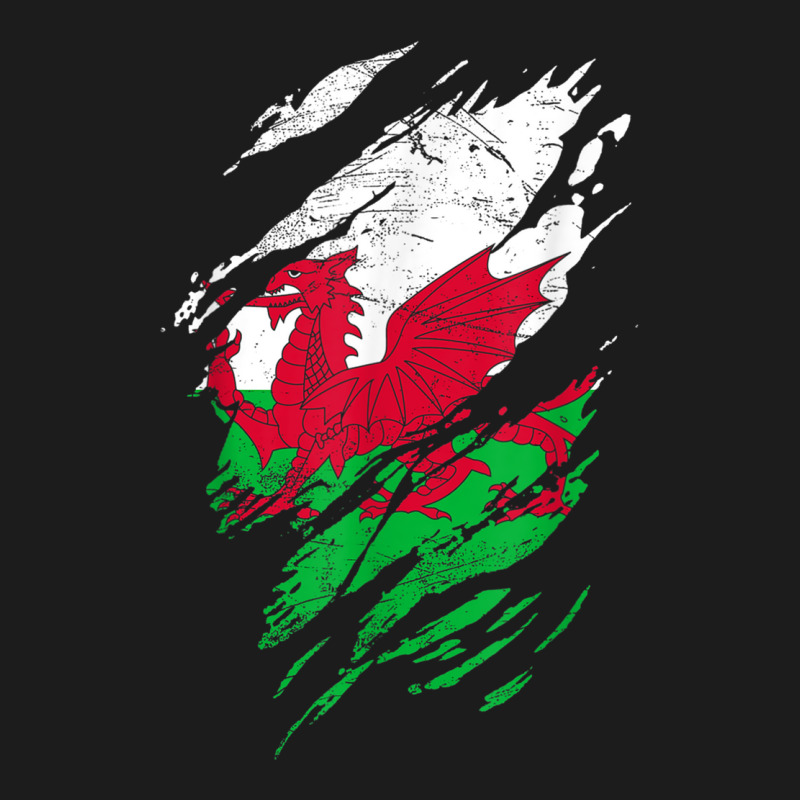 Wales Flag Welsh Dragon Baner Y Ddraig Goch Cardiff Heritage T Shirt Hoodie & Jogger set by cm-arts | Artistshot