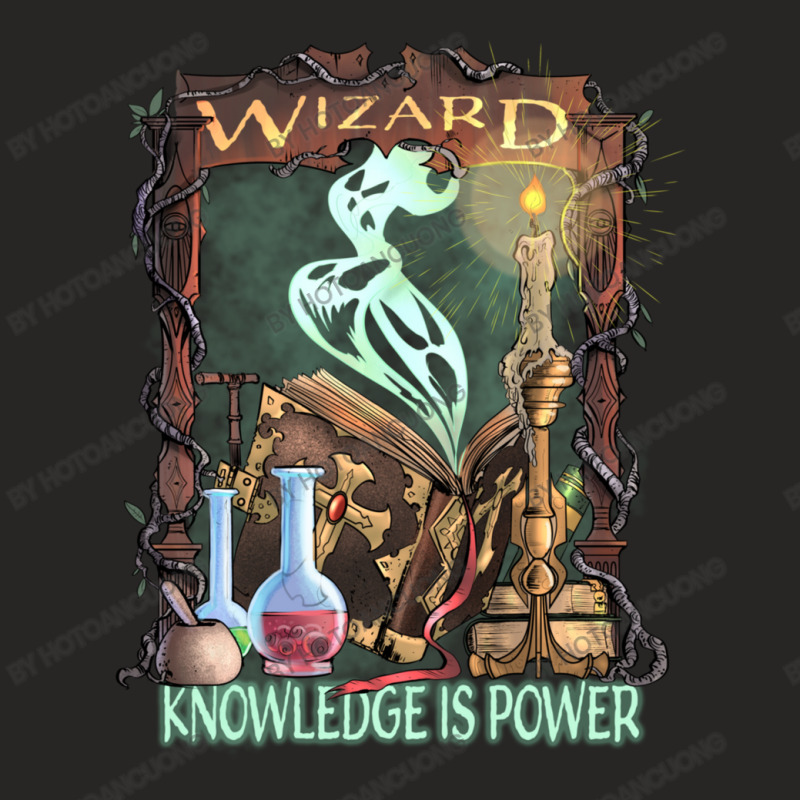 Wizard Knowledge Is Power Dragons D20 Rpg Gamer Ladies Fitted T-Shirt by hotoancuong | Artistshot