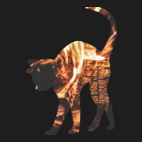 This Cat Is On Fire Classic T-shirt | Artistshot