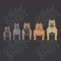 American Bully, Stickers And Magnets Ladies Curvy T-shirt | Artistshot