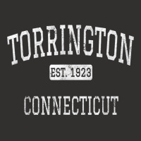 Torrington Connecticut Ct Vintage T Shirt Champion Hoodie | Artistshot