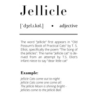 Jellicle Definition Stainless Steel Water Bottle | Artistshot