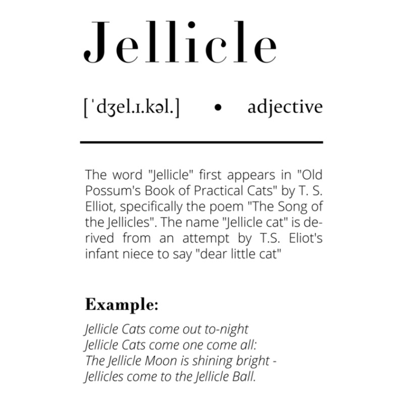 Jellicle Definition Stainless Steel Water Bottle | Artistshot