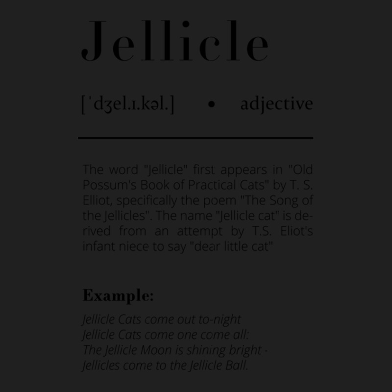 Jellicle Definition 1 Drawstring Bags | Artistshot