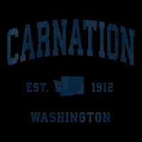 Womens Carnation Washington Wa Vintage Athletic Navy Sports Design V N Cropped Sweater | Artistshot