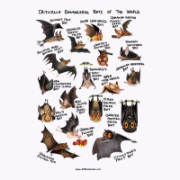 Critically Endangered Bats Of The World For Boyfriend Tank Top | Artistshot