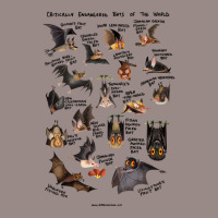 Critically Endangered Bats Of The World For Boyfriend Vintage T-shirt | Artistshot