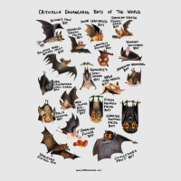 Critically Endangered Bats Of The World For Boyfriend Unisex Jogger | Artistshot