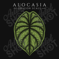 Alocasia Dragon Scale Aroid Plant Lover Anthurium Philodendron Baby Bibs | Artistshot