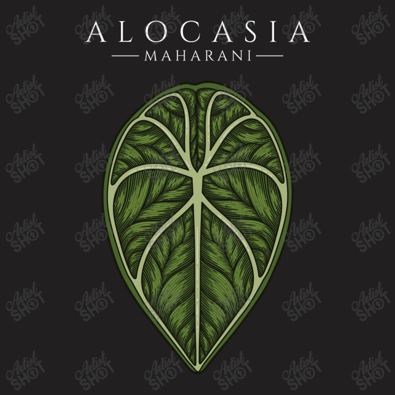 Alocasia Maharani Aroid Plant Lover Anthurium Philodendron Monstera T-Shirt by dovieavila | Artistshot