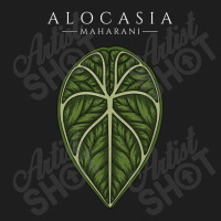 Alocasia Maharani Aroid Plant Lover Anthurium Philodendron Monstera Classic T-shirt | Artistshot