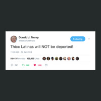 Thicc Latinas Will Not Be Deported Women's Triblend Scoop T-shirt | Artistshot