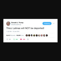 Thicc Latinas Will Not Be Deported Crop Top | Artistshot