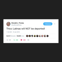 Thicc Latinas Will Not Be Deported Ladies Polo Shirt | Artistshot