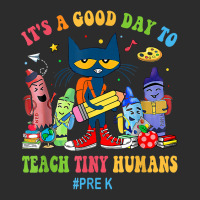 Its A Good Day To Teach Tiny Humans Pre-k Cat Teacher Lover Exclusive T-shirt | Artistshot