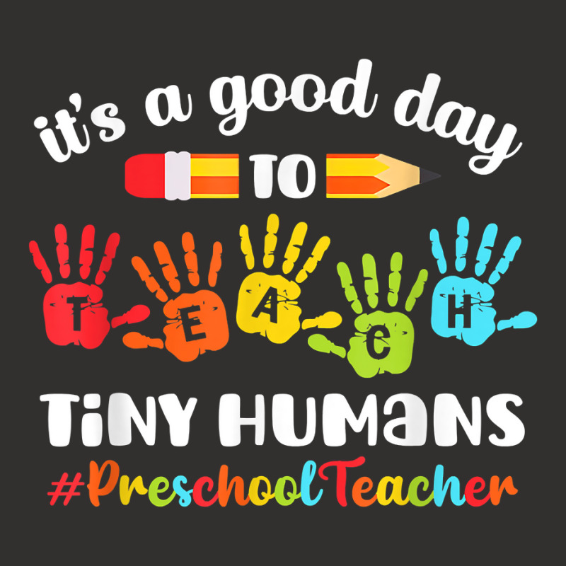 Its A Good Day To Teach Tiny Humans Preschool Teacher Champion Hoodie | Artistshot