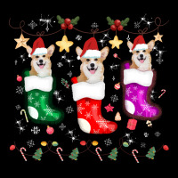 Corgi Christmas Pretty Corgi Chrismas Light Corgi Dog Lover Xmas Costu Lightweight Hoodie | Artistshot